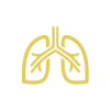 Chest / Respiratory Medicine