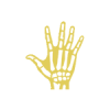 Rheumatology
